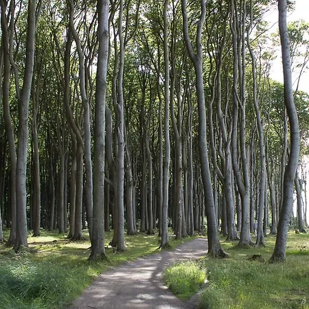 Semesterbostad Koralle Ostseebad Nienhagen